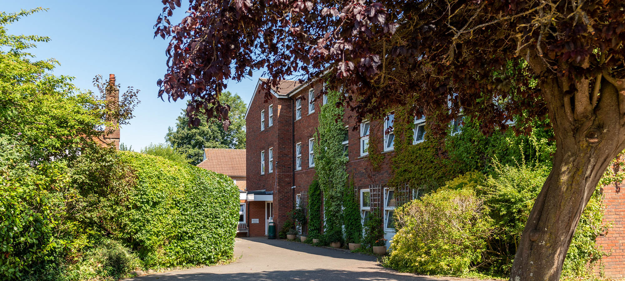 header_0115_sg2-9266